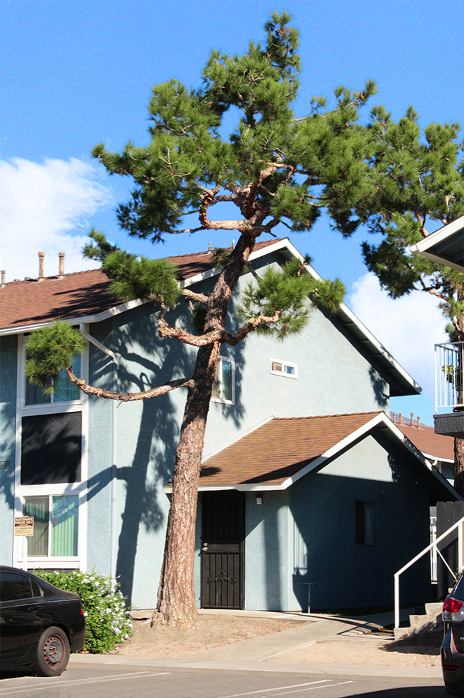 This image is the visual representation of Exteriors 6 in Parc Mountain View Apartments.